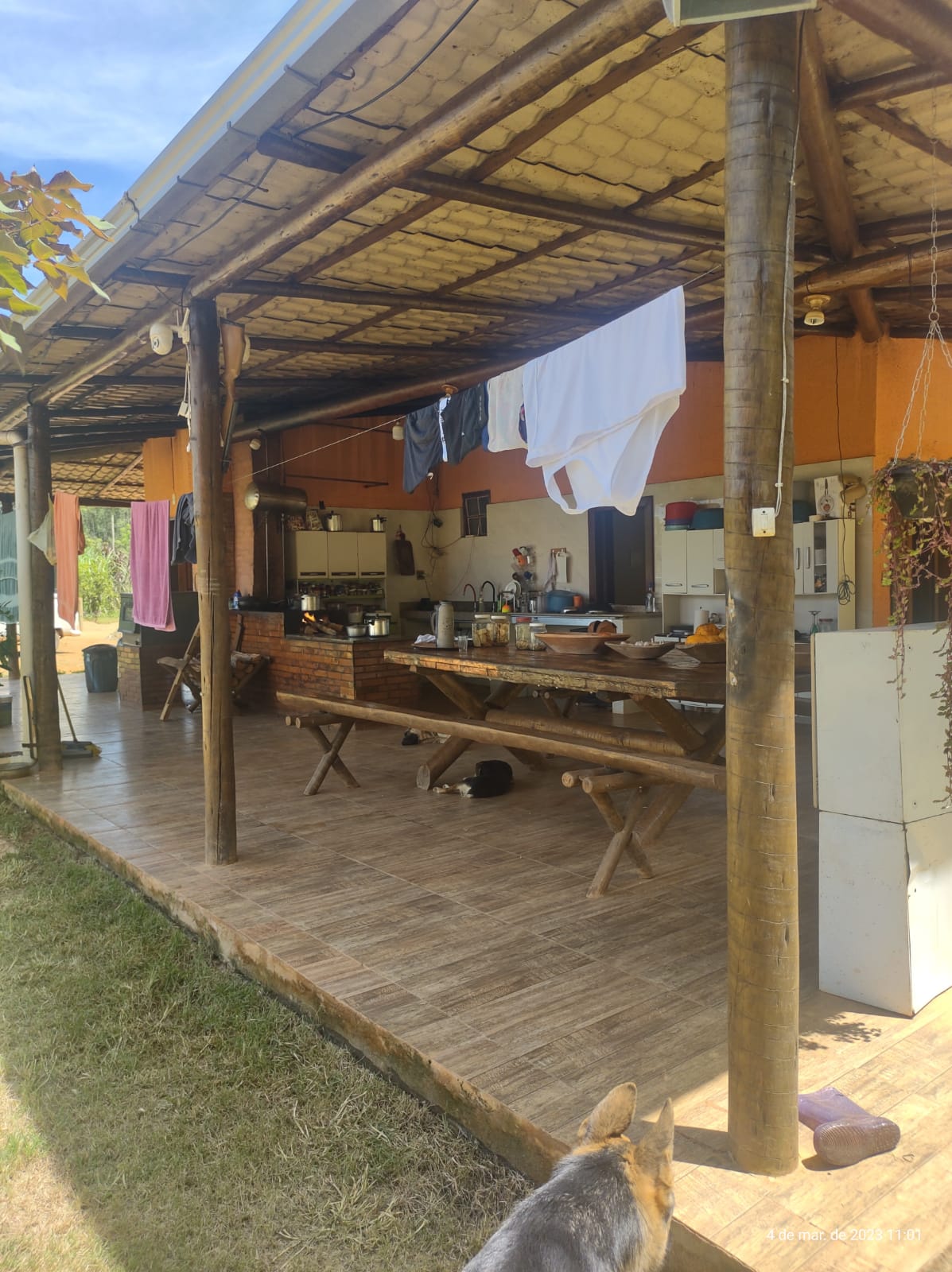 Sitio para venda