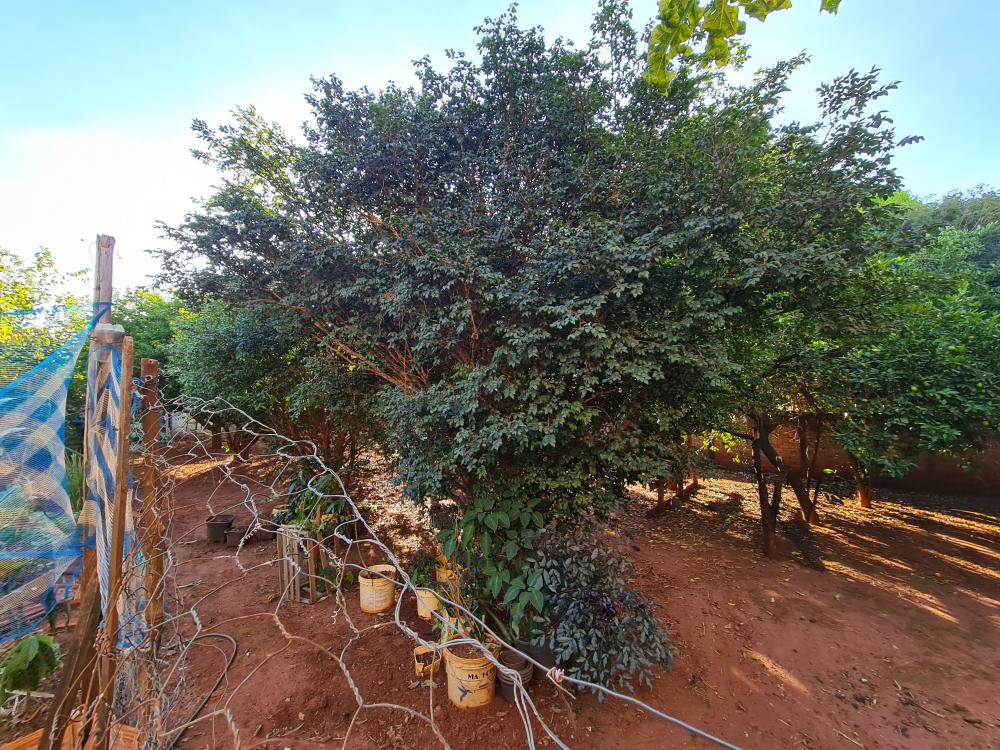 Casa - Venda, Vila José Bonifácio, Araraquara, SP