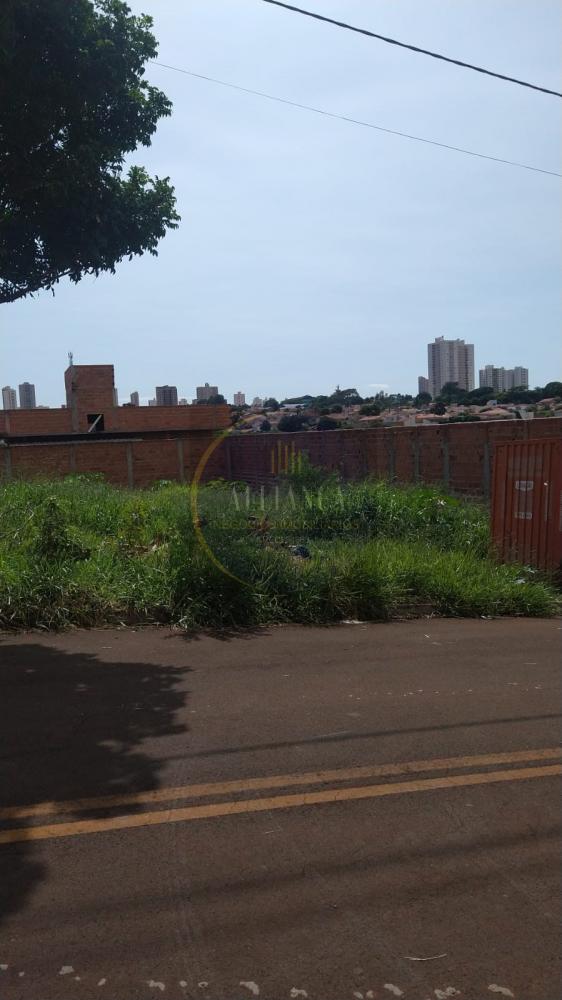 Terreno - Venda, Residencial Ravena, Araraquara, SP