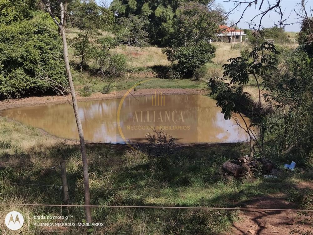 Fazenda - Venda, Araraquara, SP