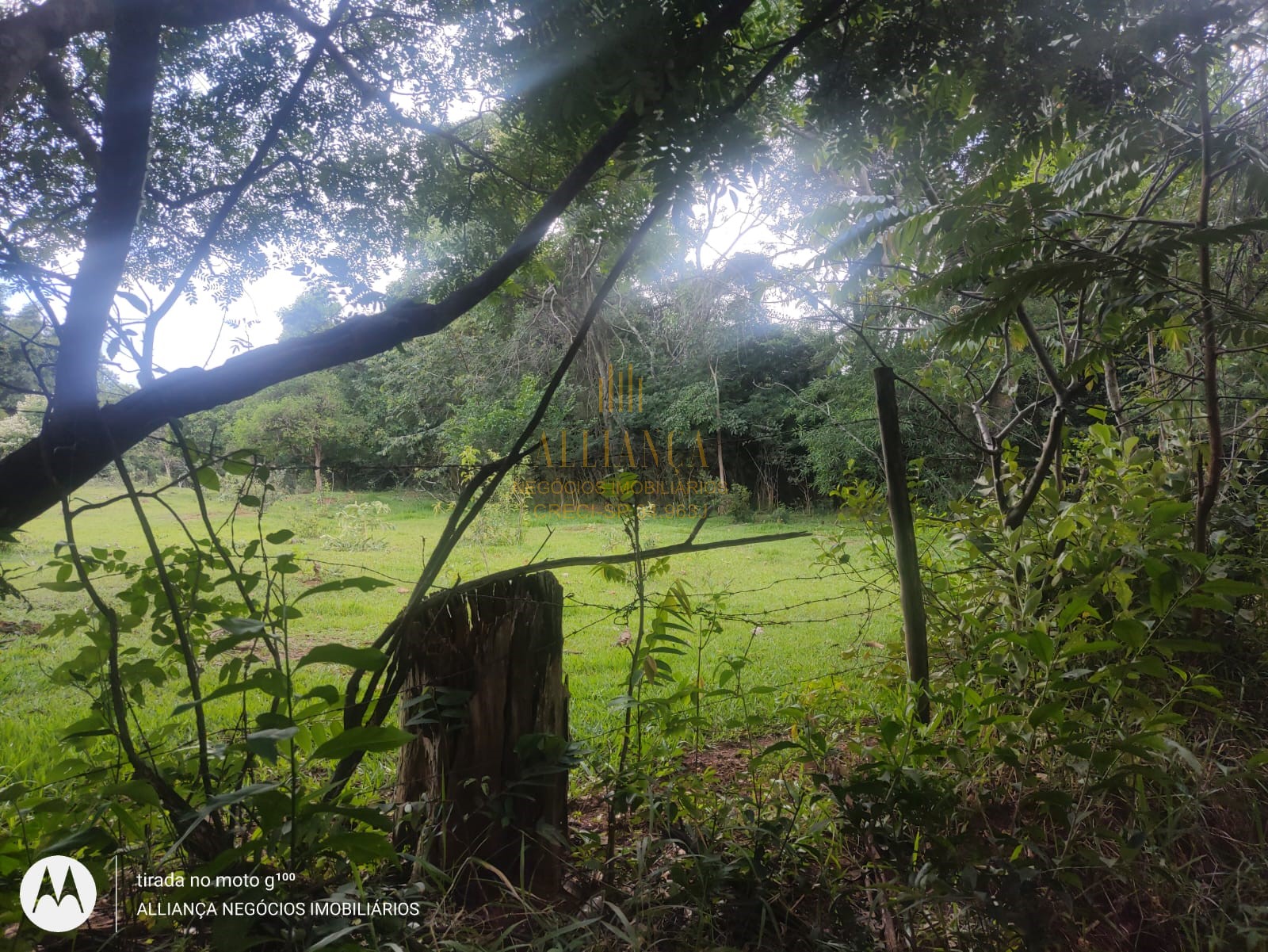 Terreno - Venda, Sitio São João, Araraquara, SP