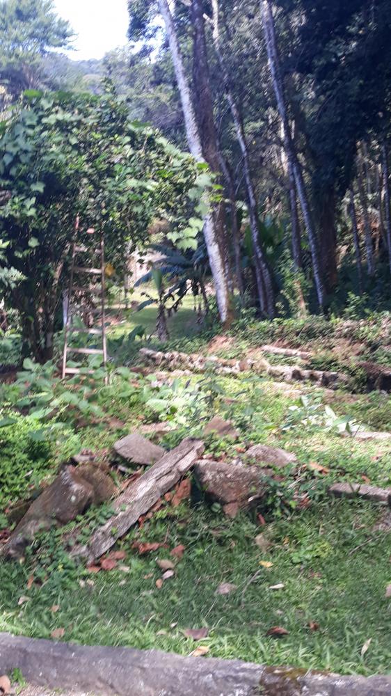 Terreno em condomínio - Venda, Parque Silvestre, Guapimirim, RJ