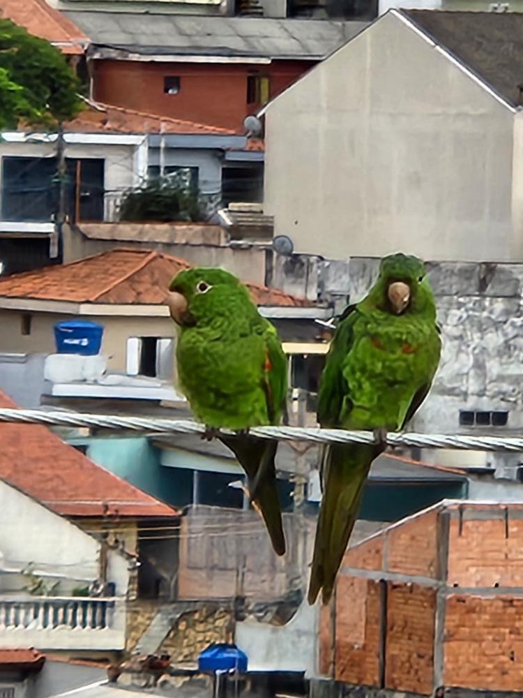 Casa à venda com 4 quartos, 300m² - Foto 11