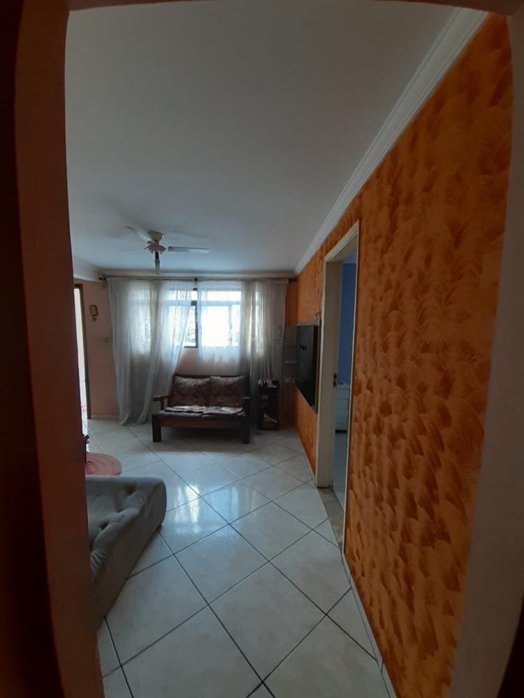 Casa à venda com 6 quartos, 300m² - Foto 14