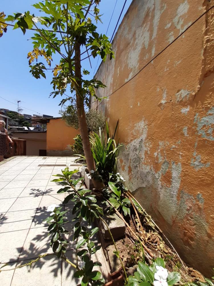 Terreno à venda com 3 quartos, 250m² - Foto 6