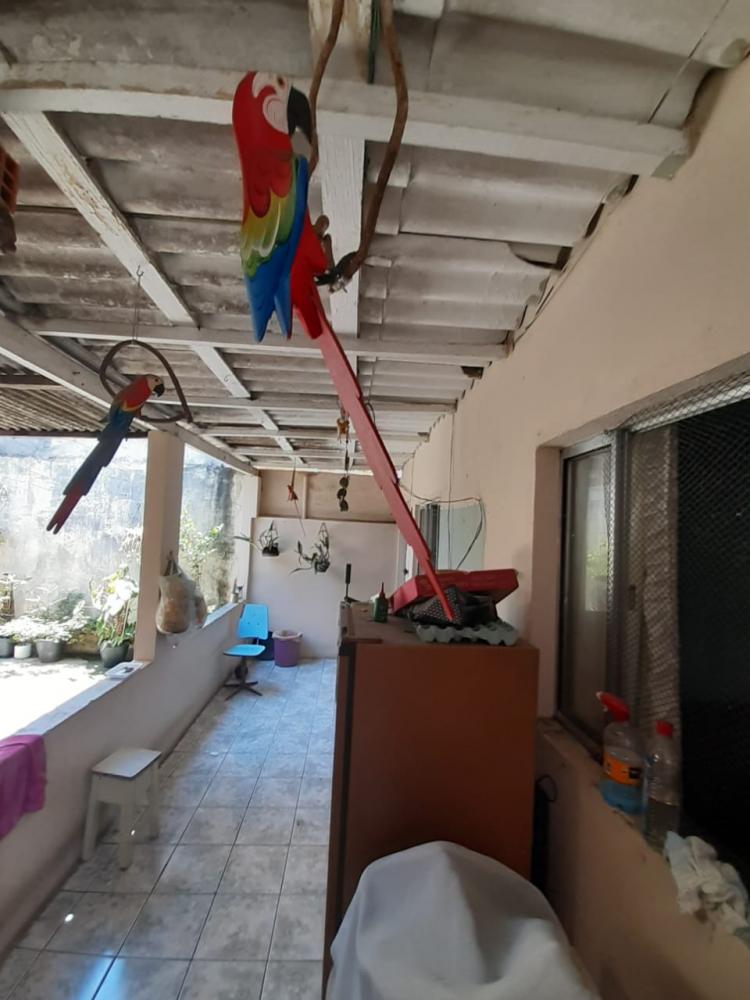 Terreno à venda com 3 quartos, 250m² - Foto 15