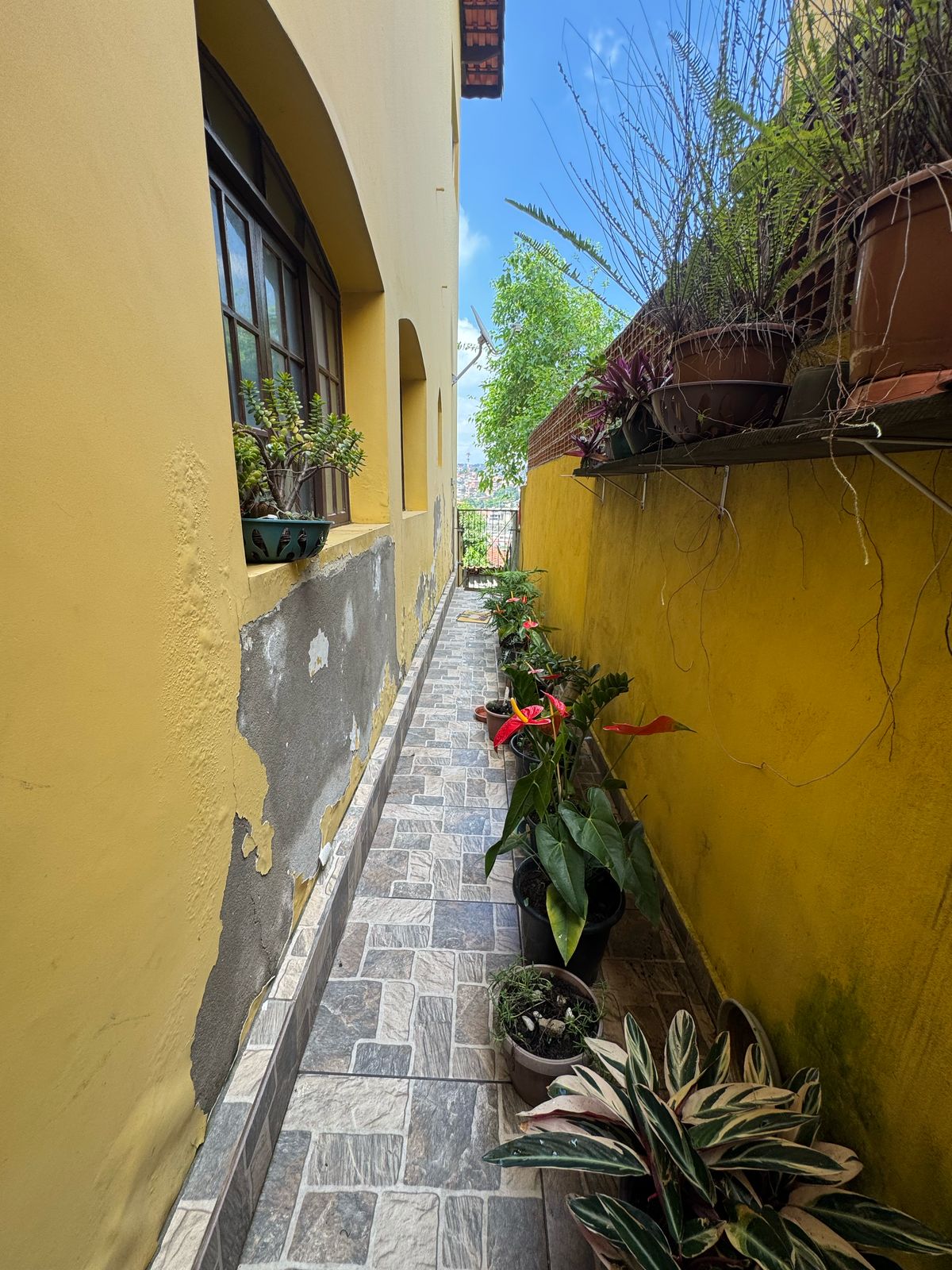 Casa à venda com 4 quartos, 325m² - Foto 62