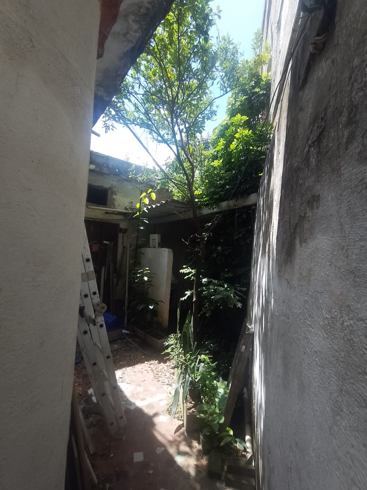 Imóvel renda(300m²) 08 casas + salão comercial, 03 vagas