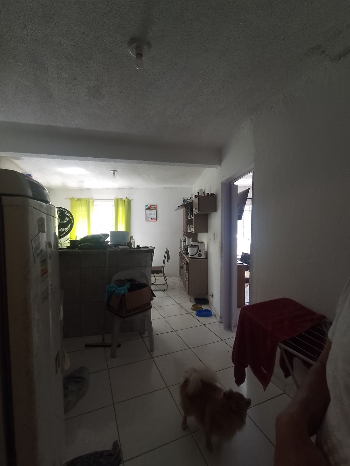 Imóvel renda(300m²) 08 casas + salão comercial, 03 vagas