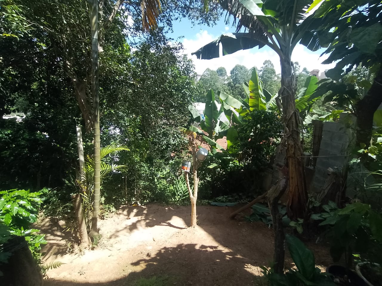 Imóvel para Renda - 2 Casas 