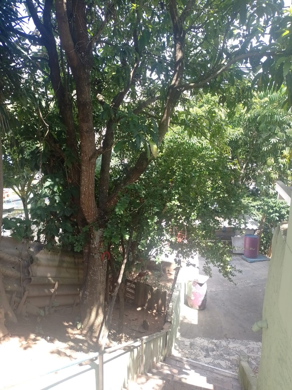 Imóvel para Renda - 2 Casas 