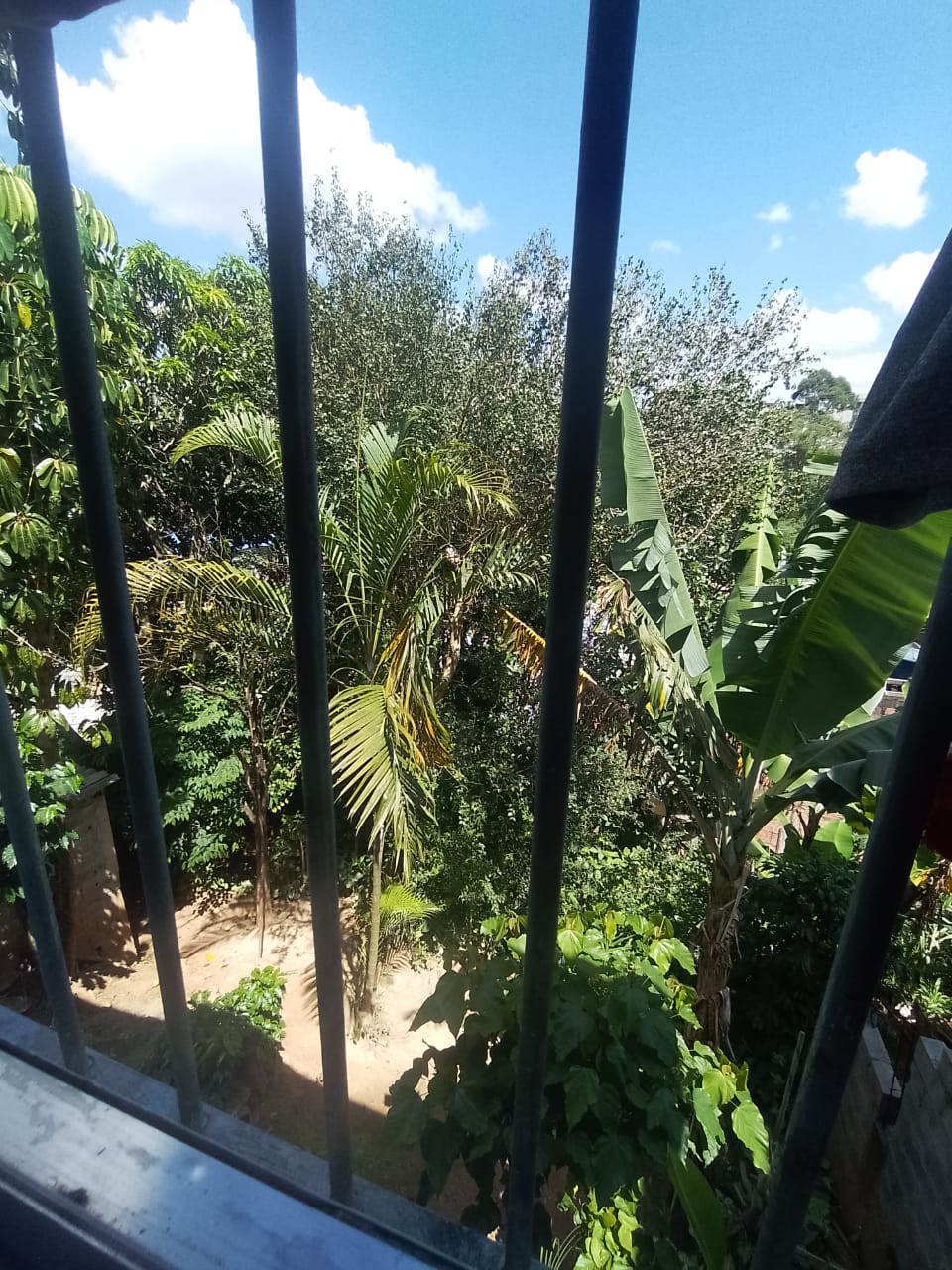 Imóvel para Renda - 2 Casas 