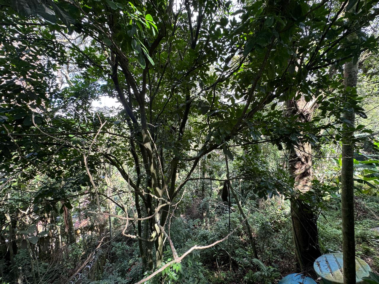 Casa em condomínio(1.800m²) 04 Dormitórios, 10 vagas