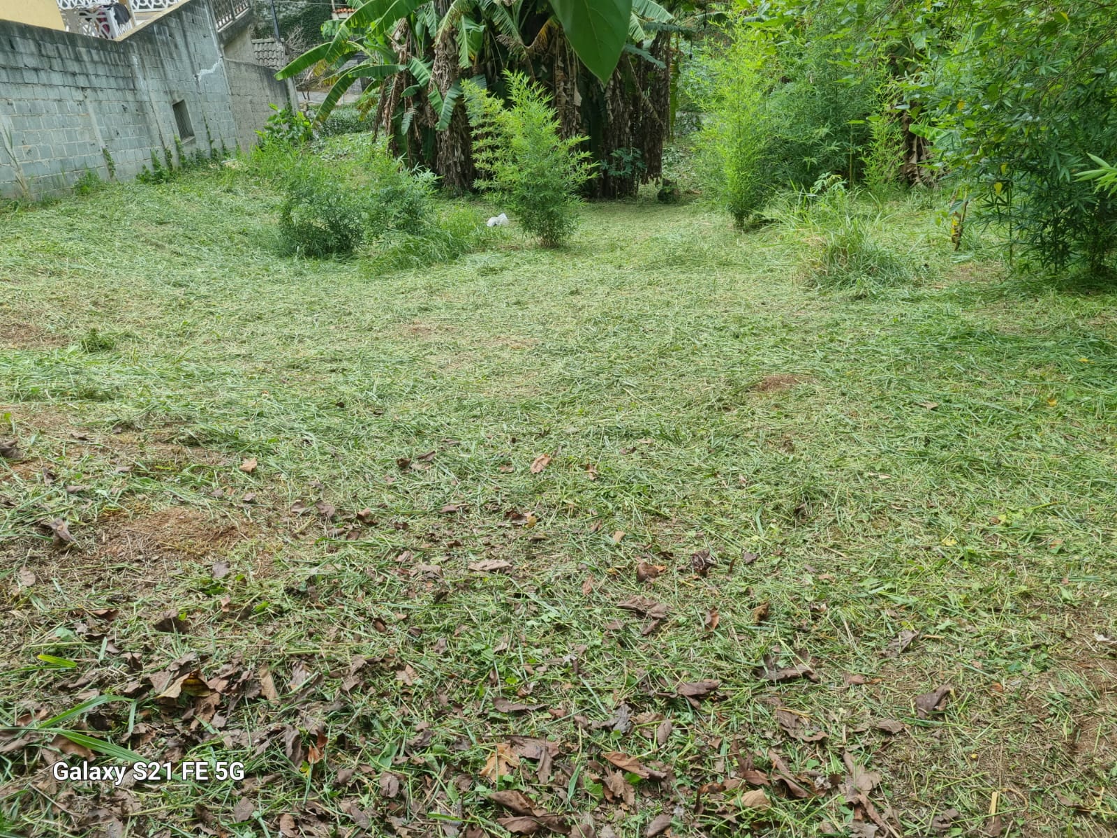 Terreno à Venda 