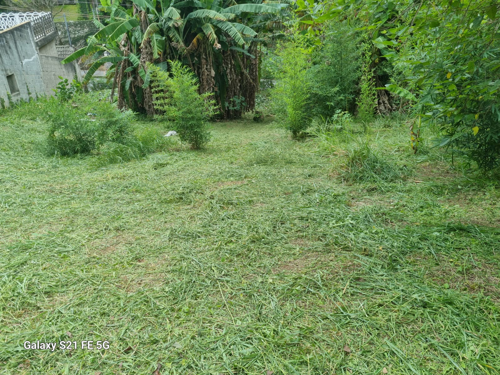 Terreno à Venda 