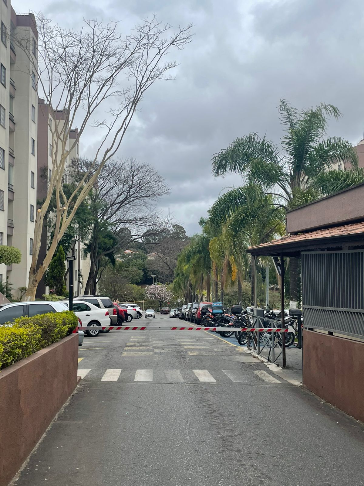 Apartamento (56 m²) 