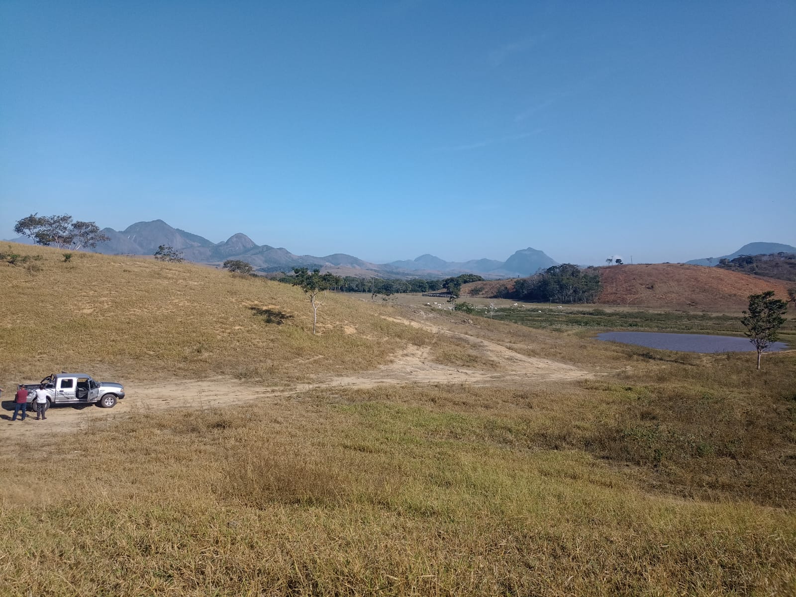 Fazenda - Venda, Sapucaia, Campos dos Goytacazes , RJ
