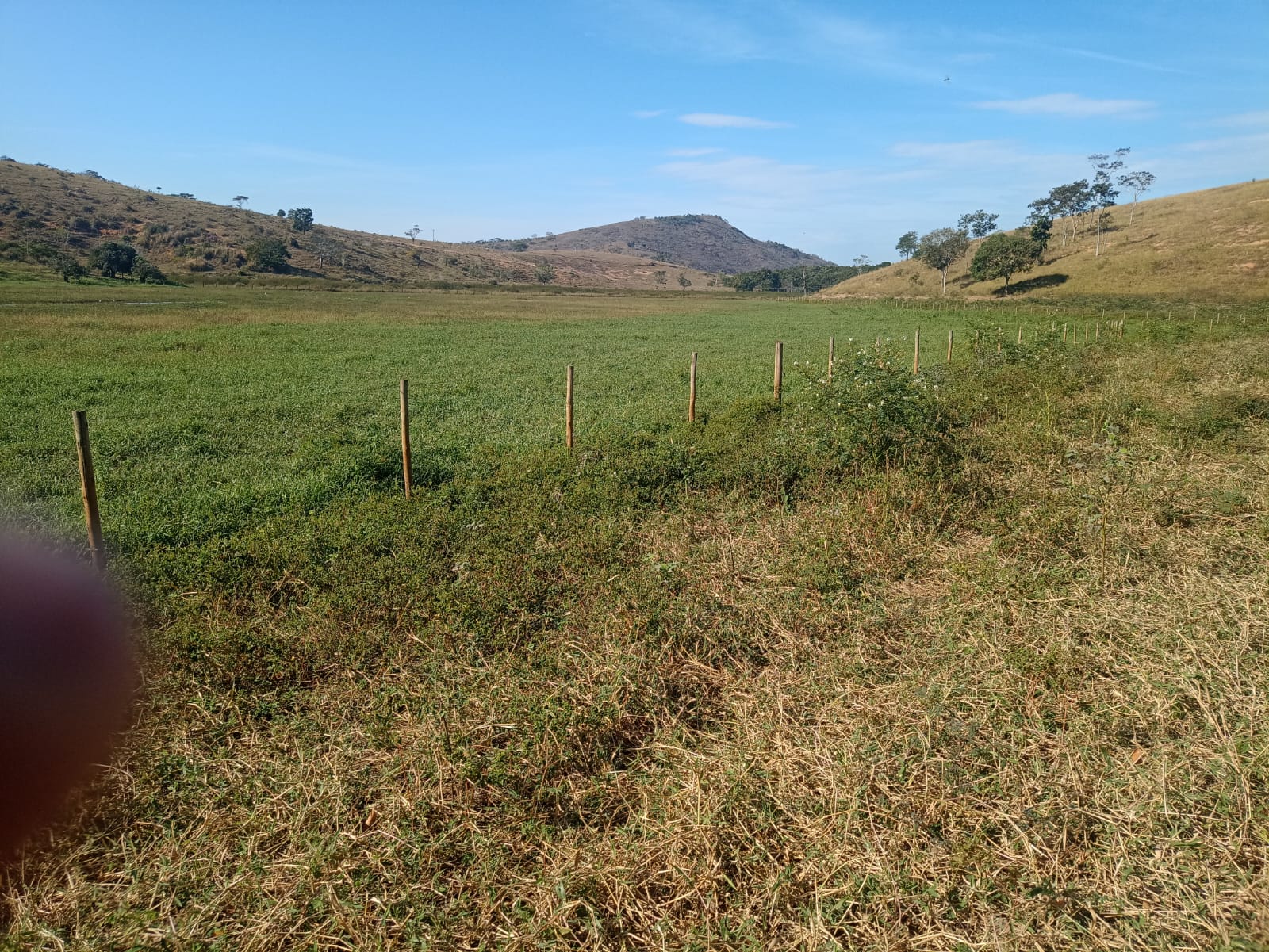 Fazenda em Sapucaia, Campos dos Goytacazes, RJ, com 33 alqueires