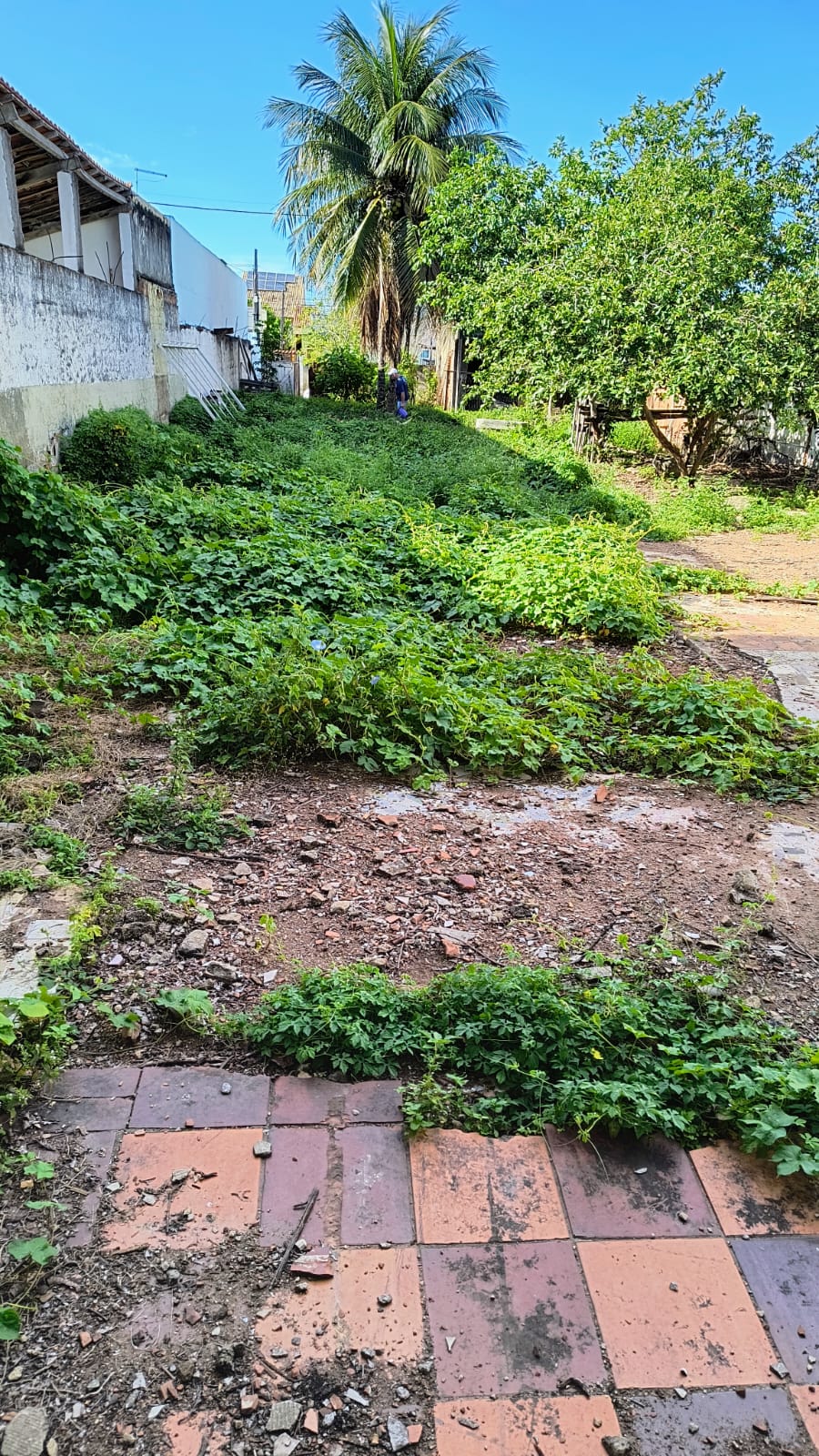 Terreno no Parque Aurora Novo 