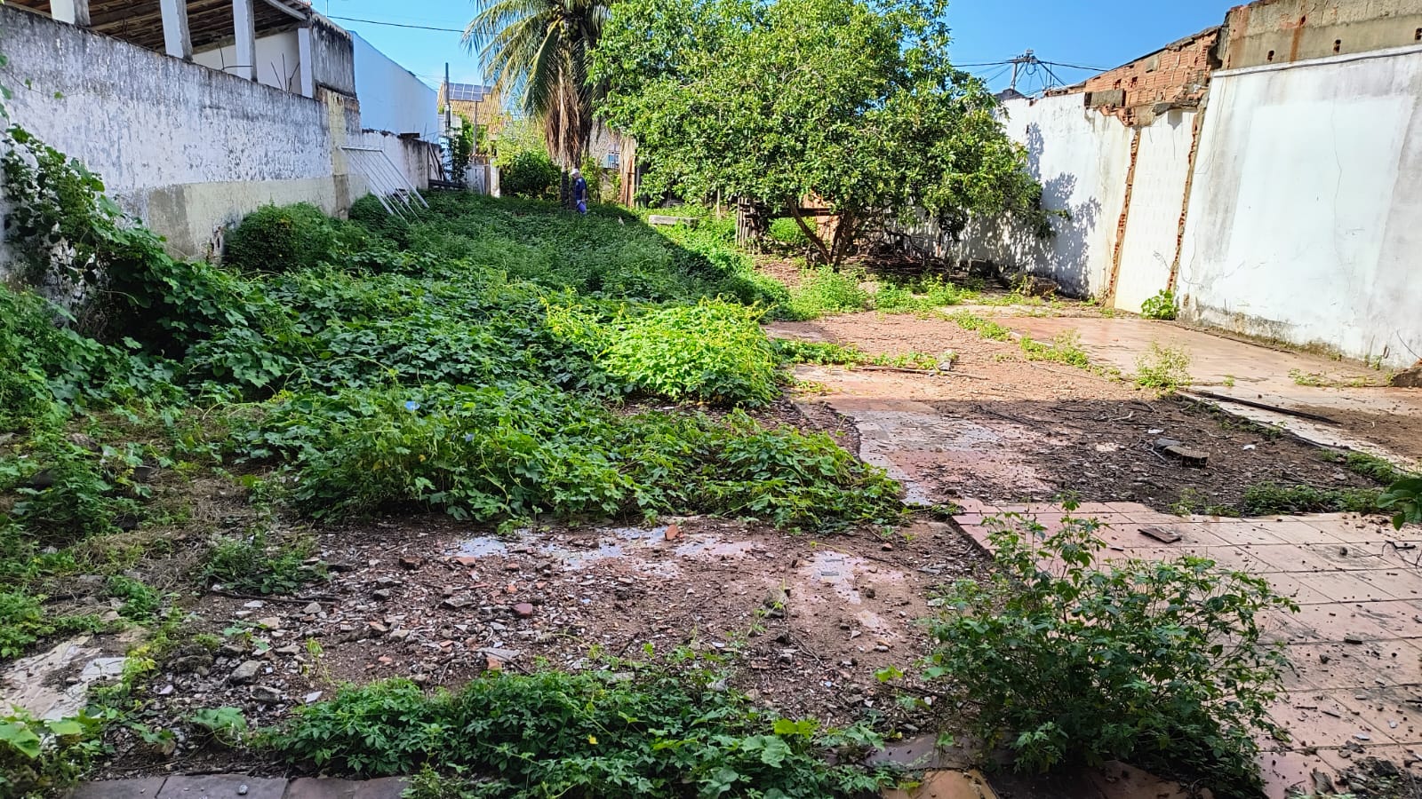 Terreno no Parque Aurora Novo 