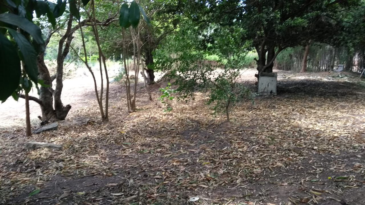 Terreno - Venda