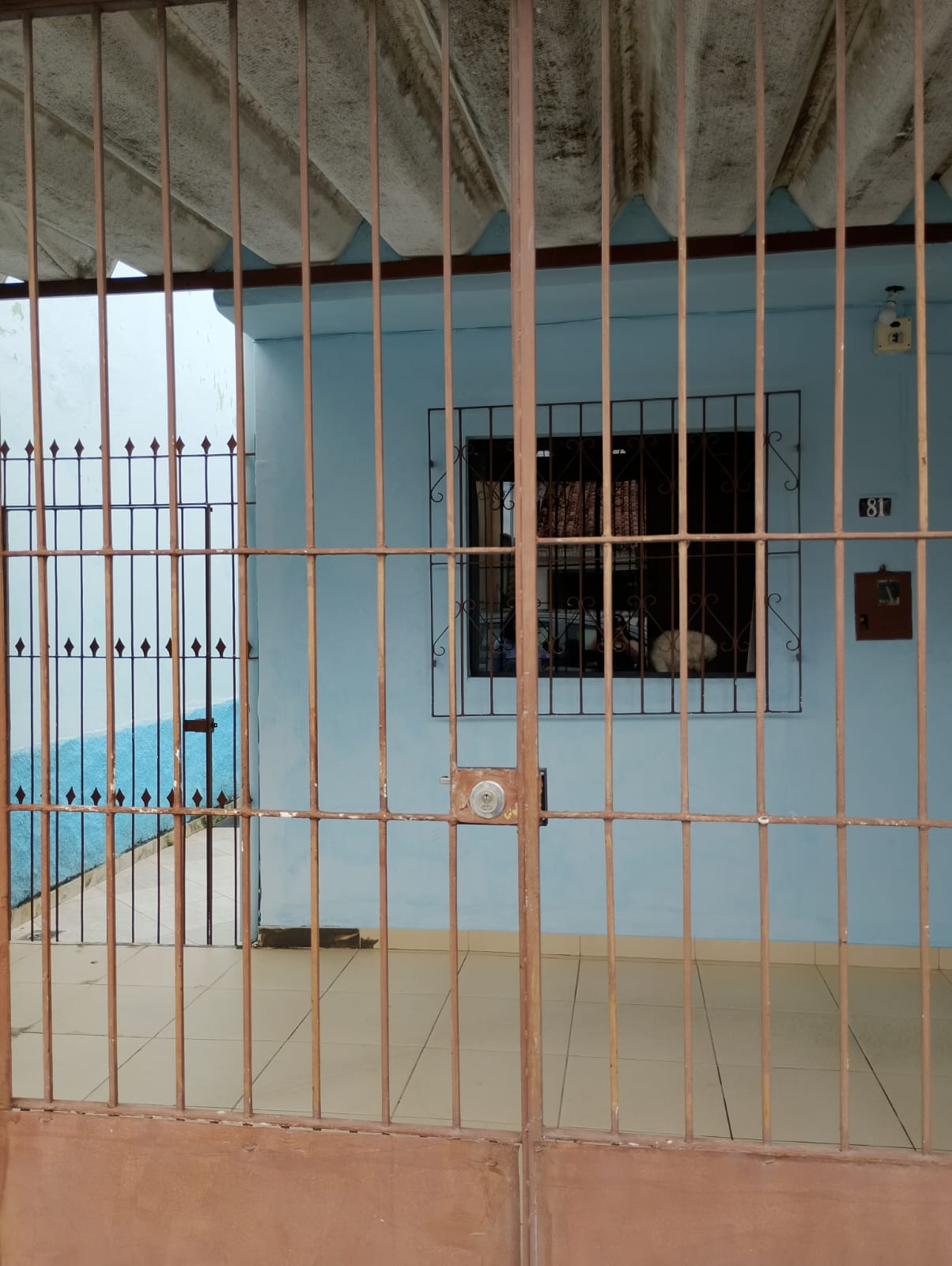 Casa no Parque Brasília