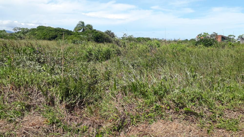 Lote - Venda, Balneario Cativeiros, ILHA COMPRIDA, SP