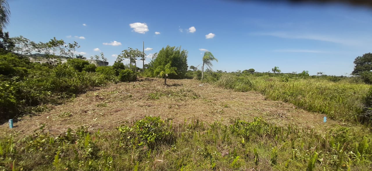 Lote - Venda, VILLA RICA, Ilha Comprida, SP