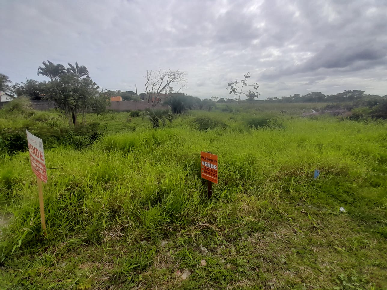 Lote - Venda, BALNEARIO IGUAPE, Ilha Comprida, SP