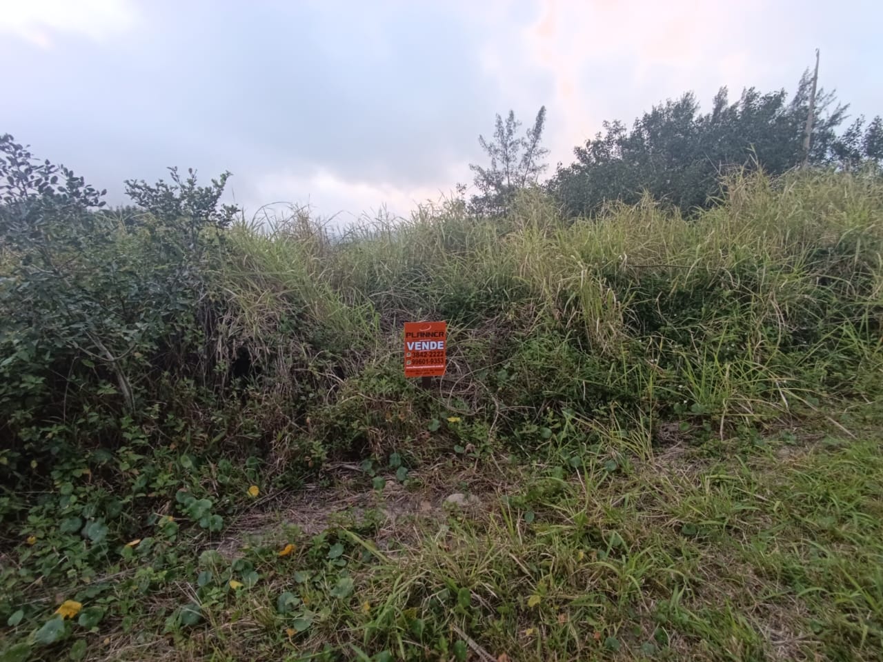 LOTE À VENDA - BALNEÁRIO PRAIA DO ARAÇA