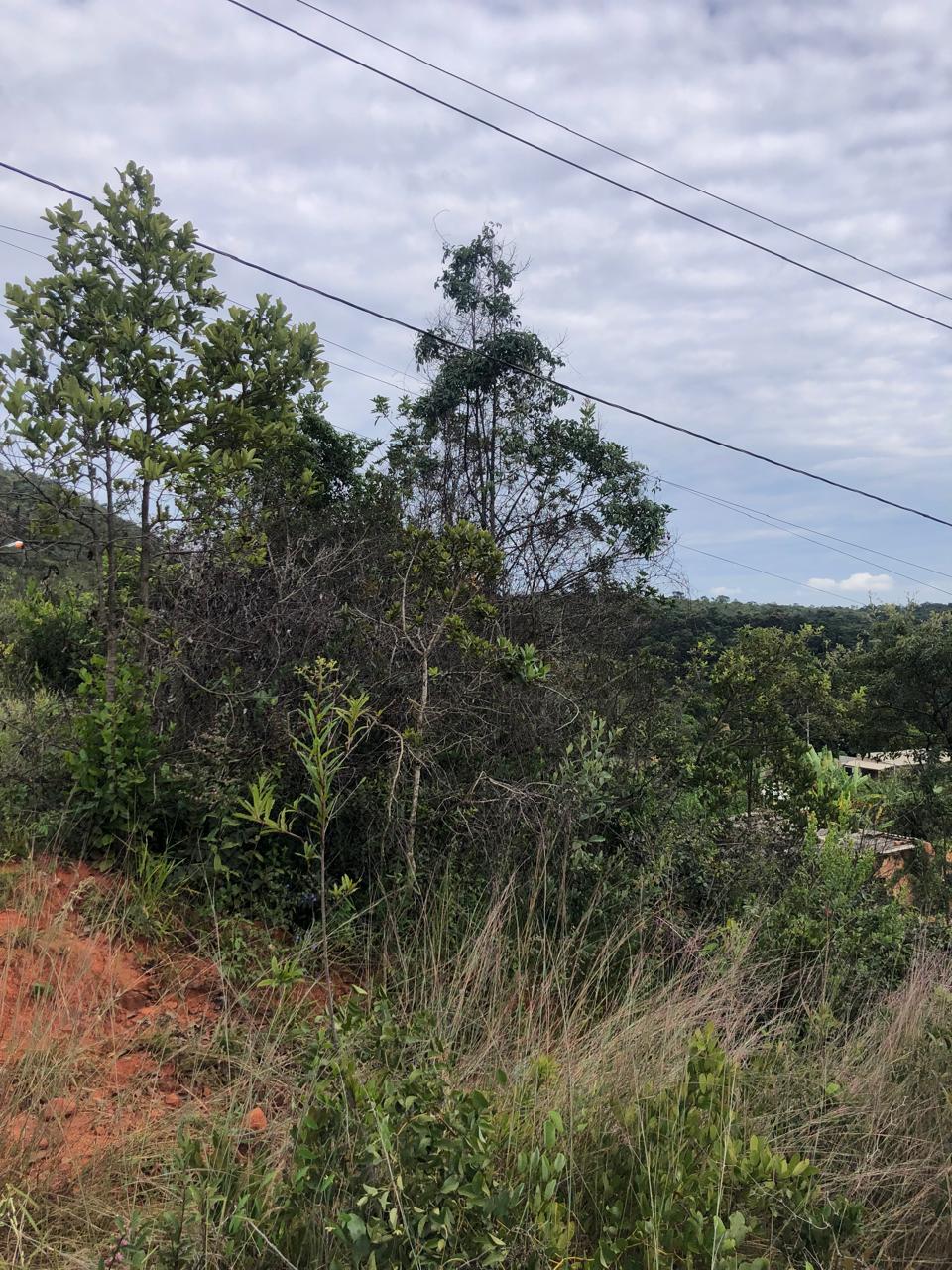 Lote a venda no Jardim das Oliveiras Esmeraldas - MG