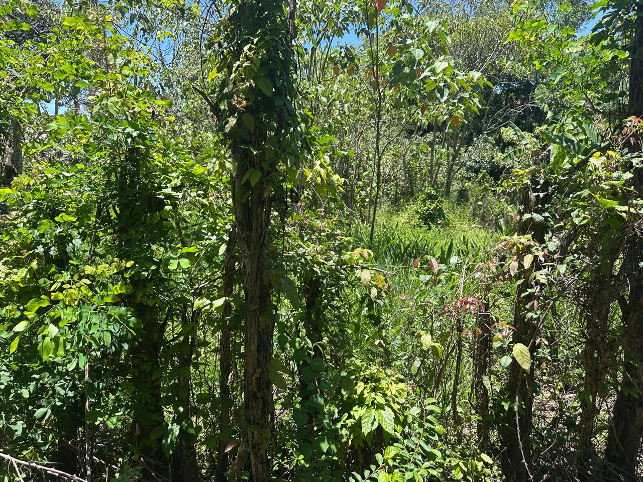 Lote - Venda, Residencial Caio Martins, Esmeraldas, MG