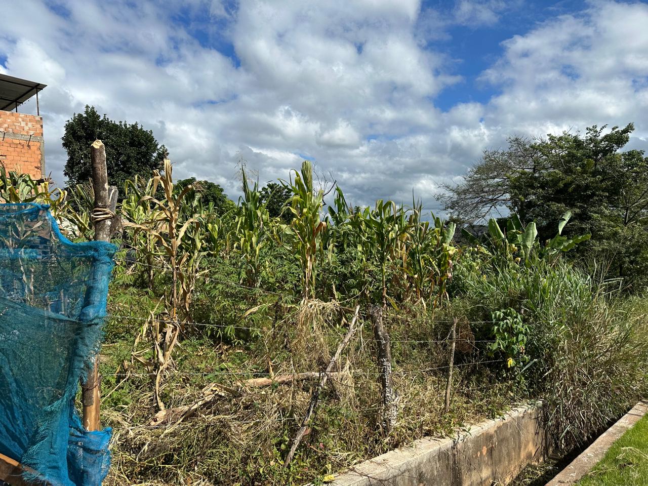 Lote - Venda, Santa Cecília, Esmeraldas, MG