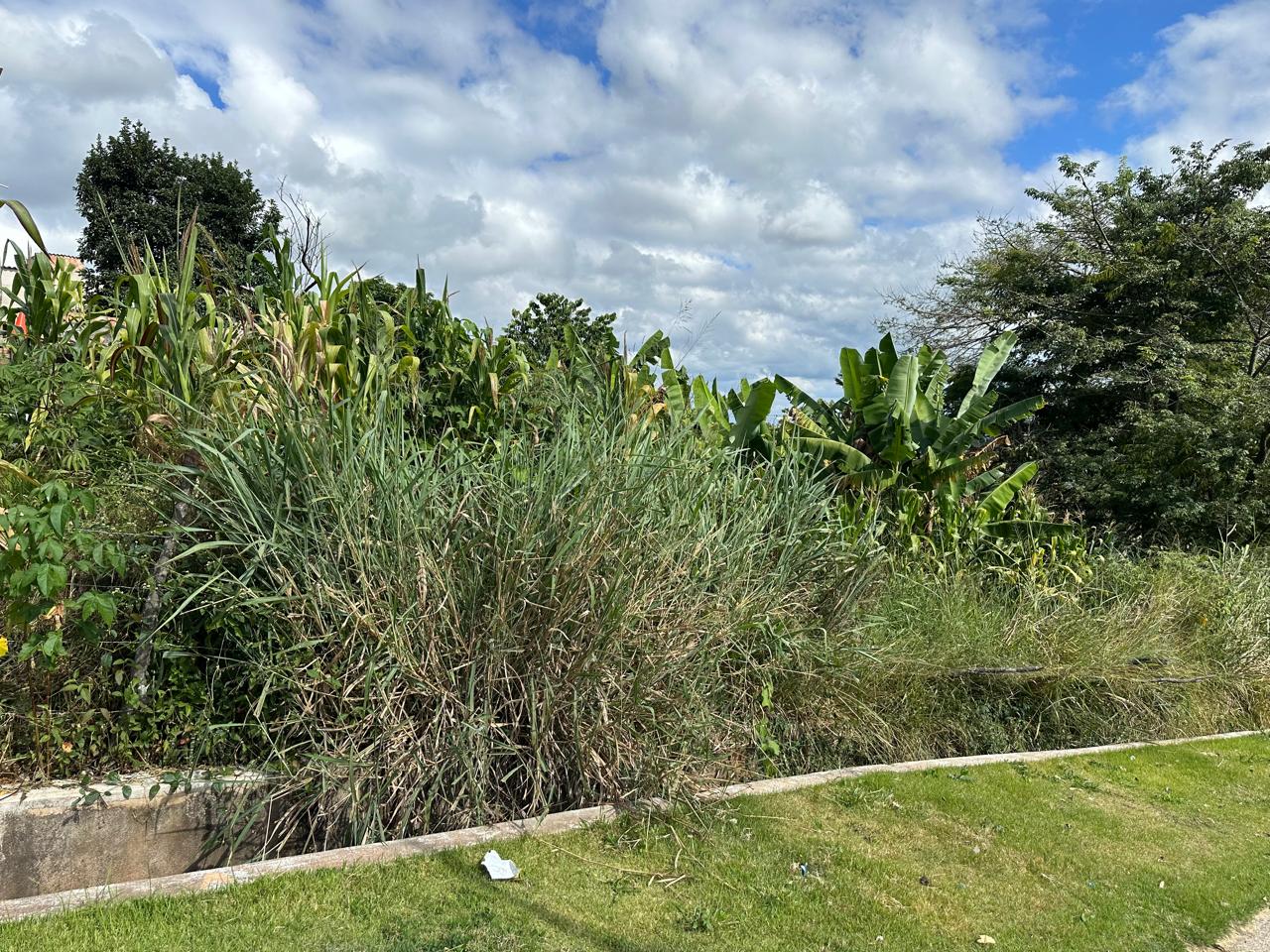 Valorizado Lote no Santa Cecília em Esmeraldas MG