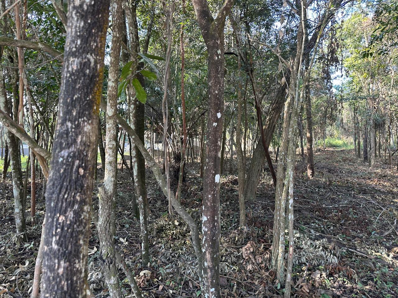 Chácara em Condomínio - Venda