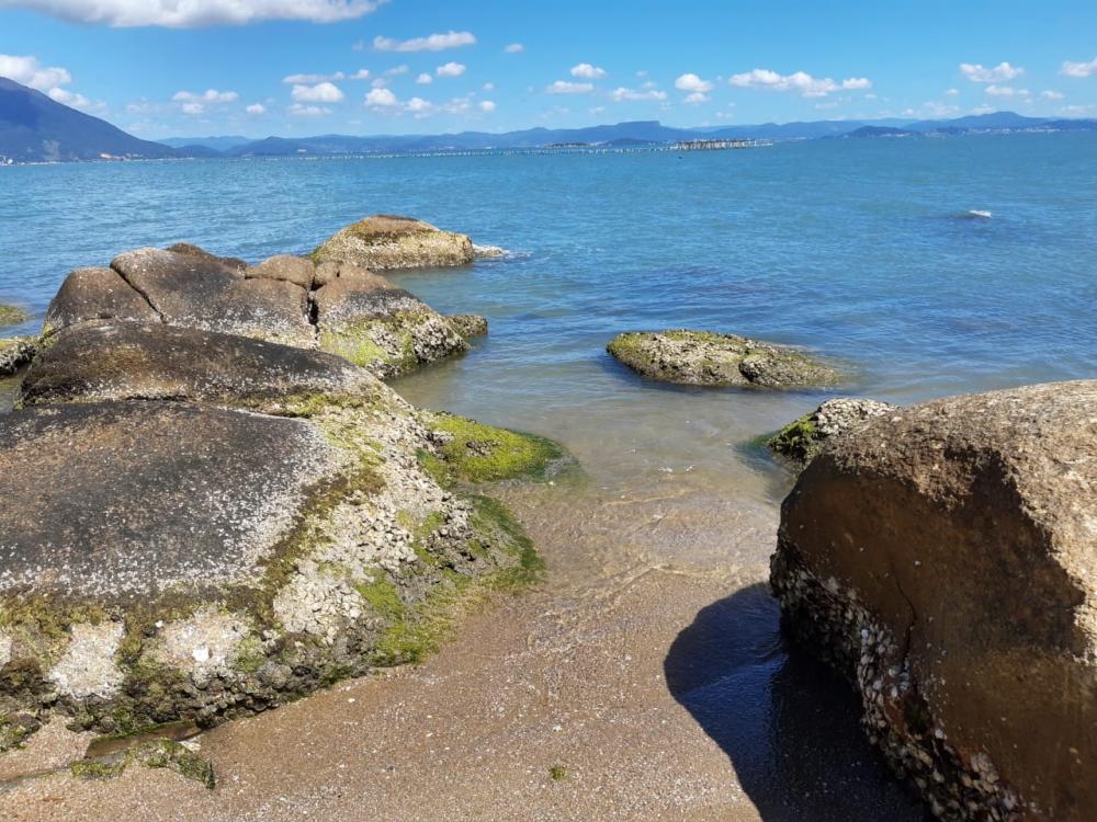 Terreno / Área - Venda, Florianópolis, SC