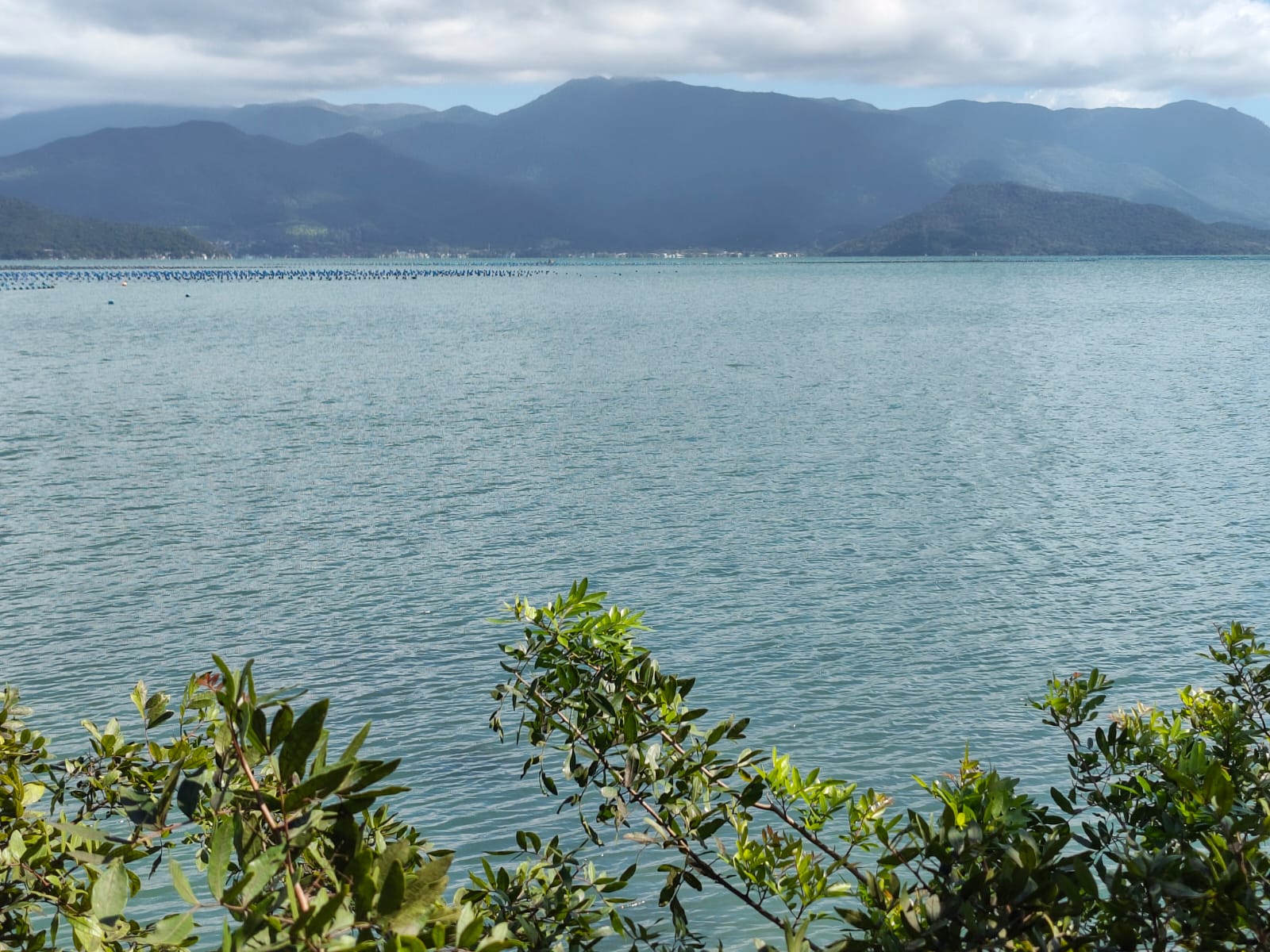 Oportunidade ÚNICA terreno pé na água na Caieira da Barra do Sul em Florianópolis