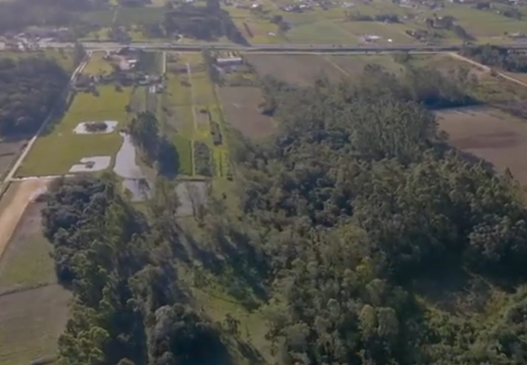 VENDO GALPÃO COM AREA DE 700 M2, EM TERRENO COM AREA DE 30.000 M2, NAS MARGENS DA BR-101 EM CRICIÚMA SC. Galpão de 700 M2 Medida do terreno:  50 m de frente X 600 m de profundidade.