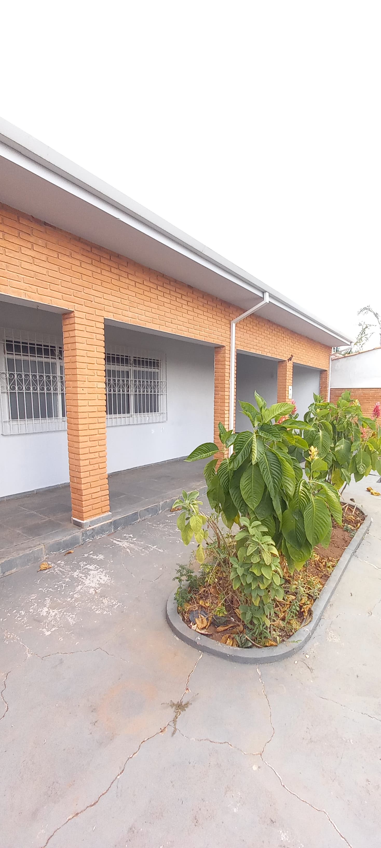 Casa - Locação, Jardim São Domingos, Mococa, SP