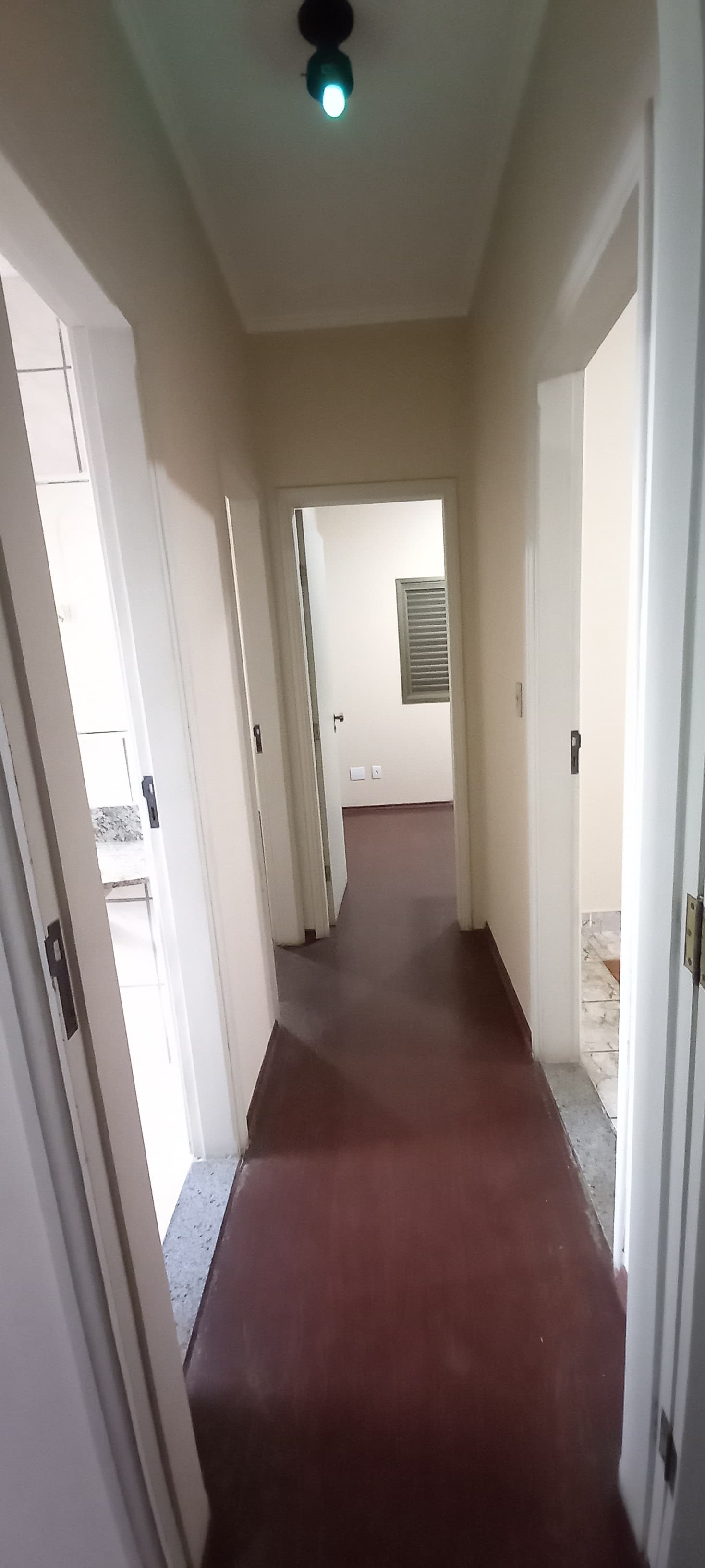 APARTAMENTO PARA LOCAÇÃO -  CENTRO