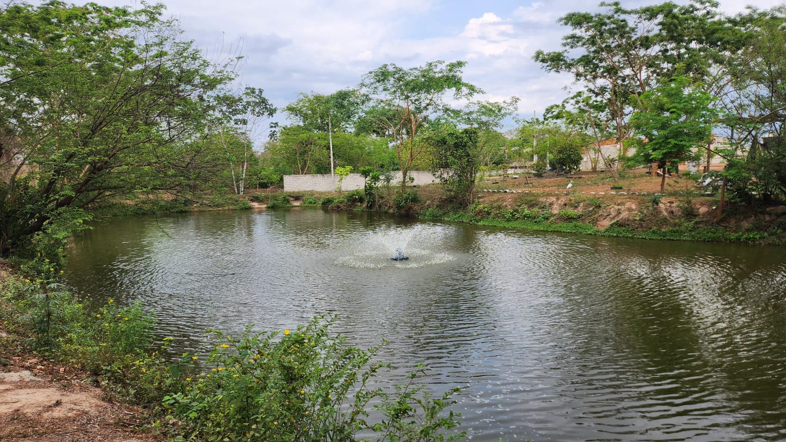 Venda Terreno Condominio Campestre Village Country
