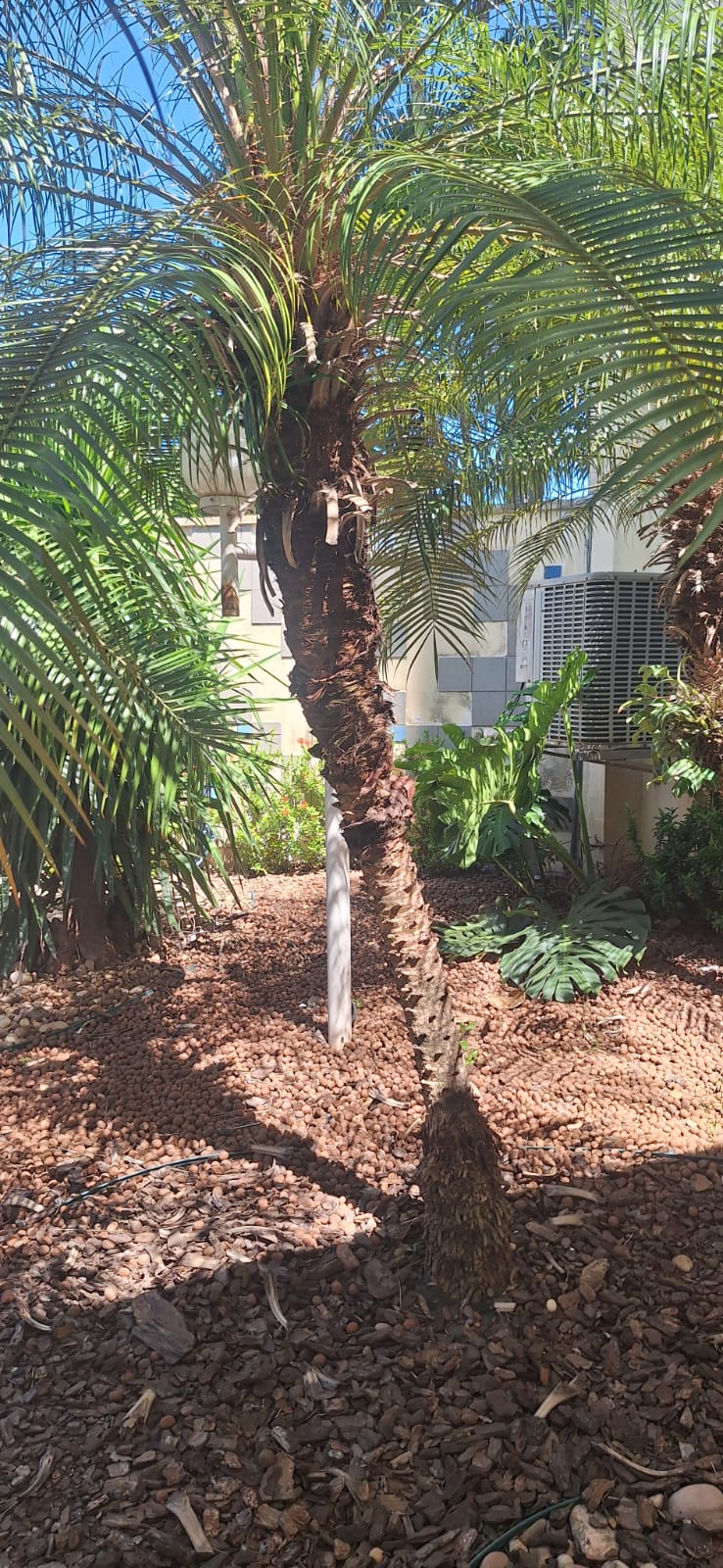 Moderno Apartamento no Alvorada em Cuiabá MT