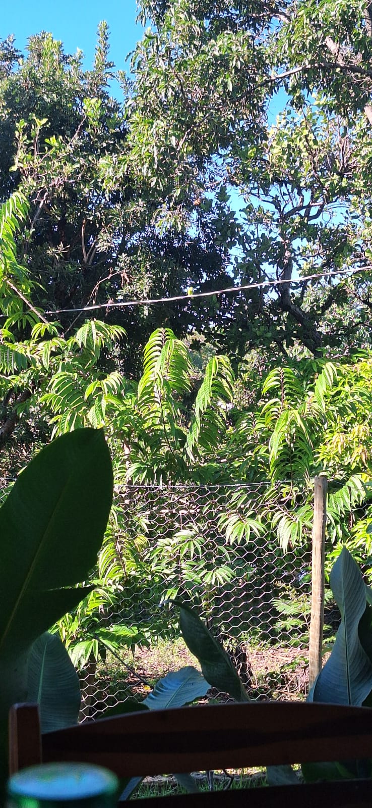 Aconchegante Chácara  à 28km  de Cuiabá -  MT