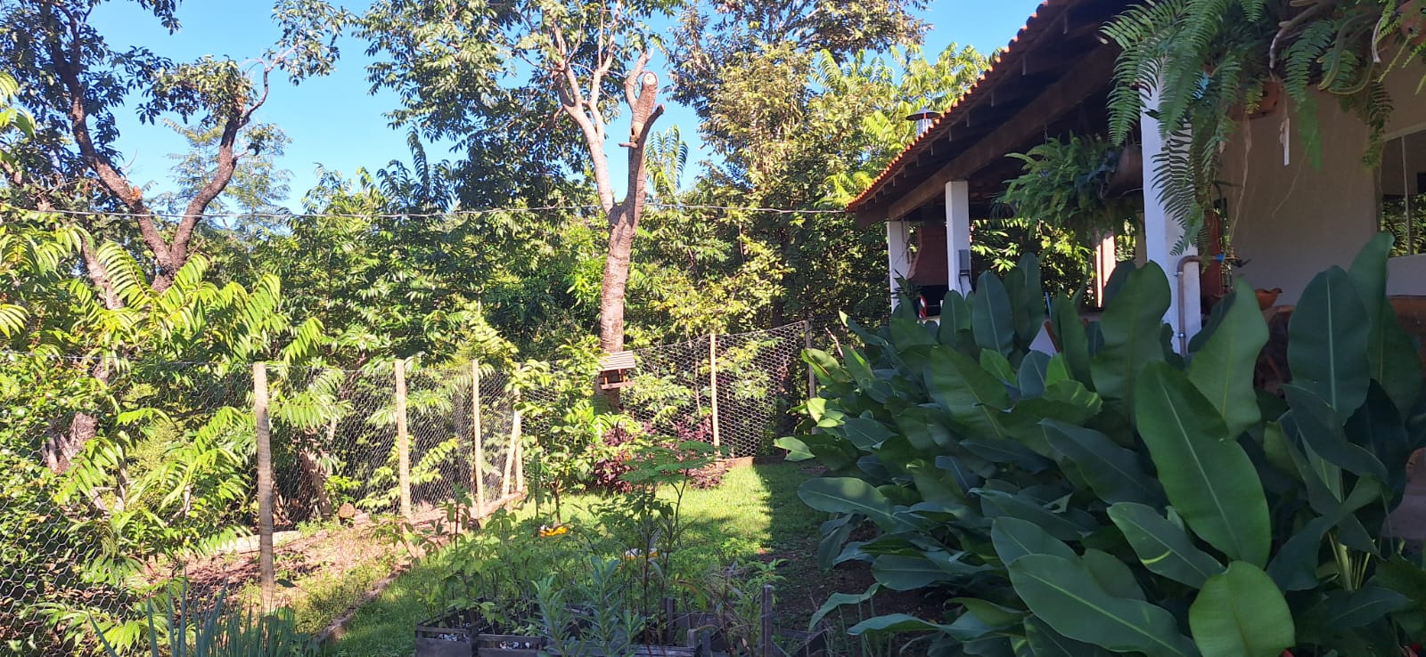 Aconchegante Chácara  à 28km  de Cuiabá -  MT