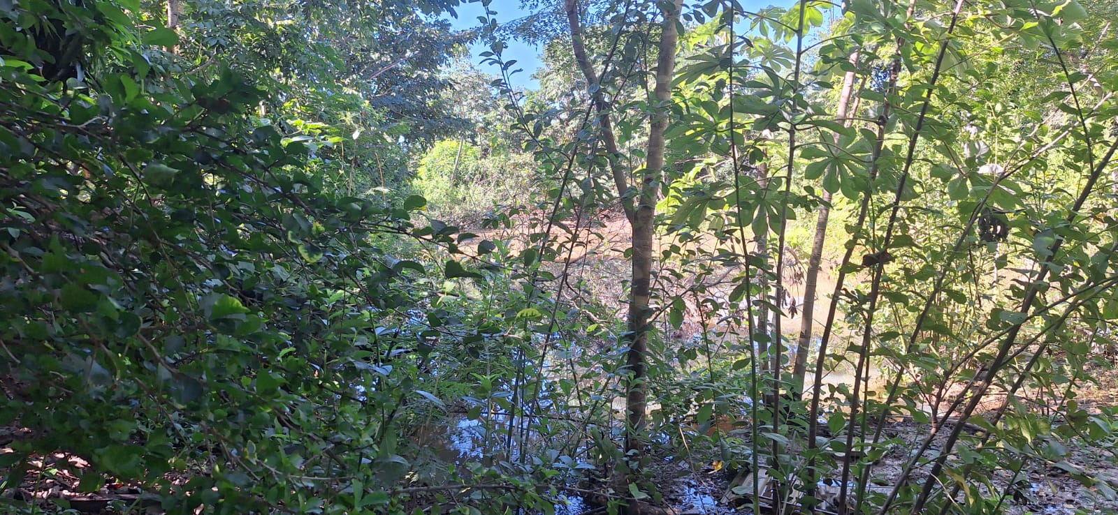 Aconchegante Chácara  à 28km  de Cuiabá -  MT