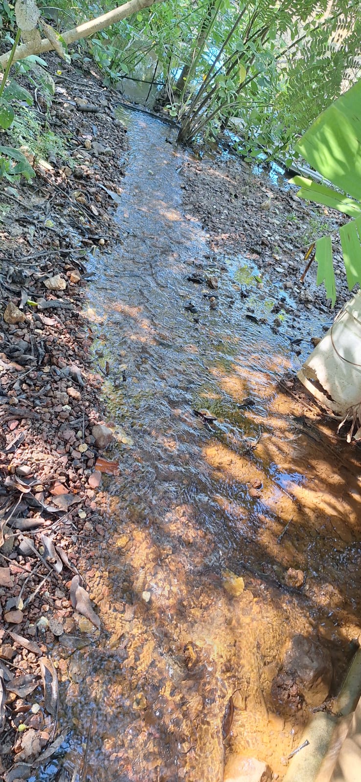 Aconchegante Chácara  à 28km  de Cuiabá -  MT