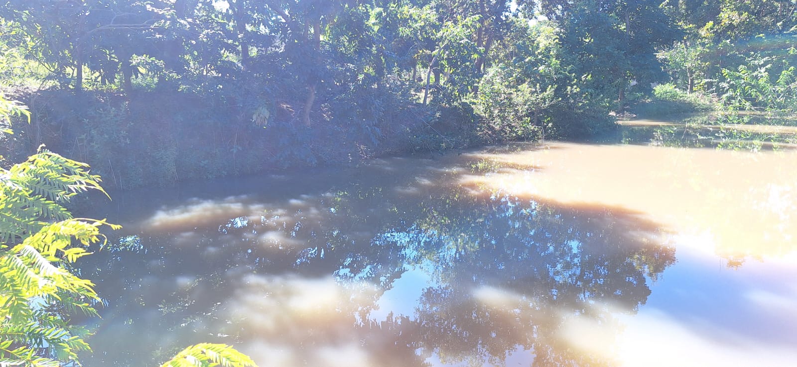 Aconchegante Chácara  à 28km  de Cuiabá -  MT