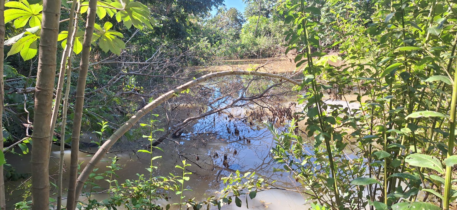 Aconchegante Chácara  à 28km  de Cuiabá -  MT