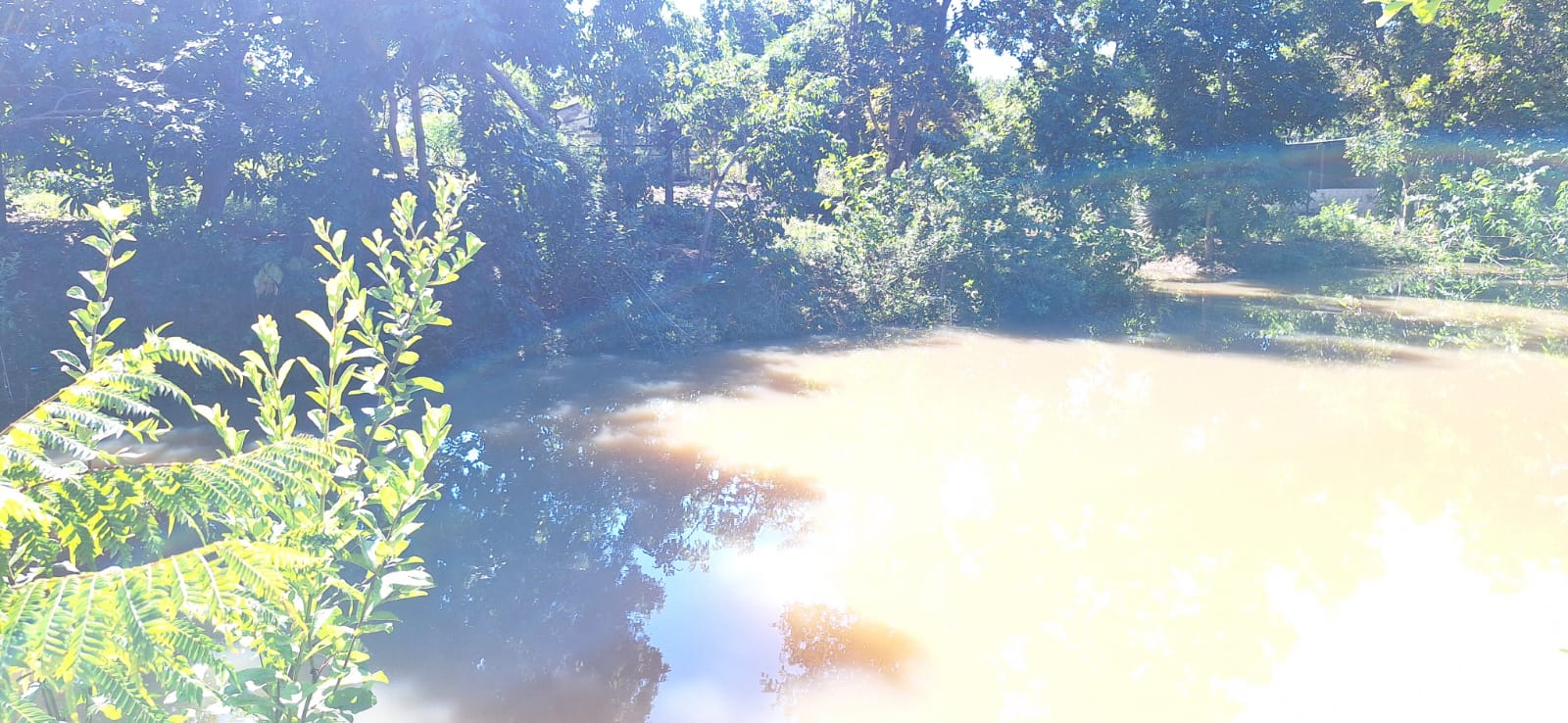 Aconchegante Chácara  à 28km  de Cuiabá -  MT