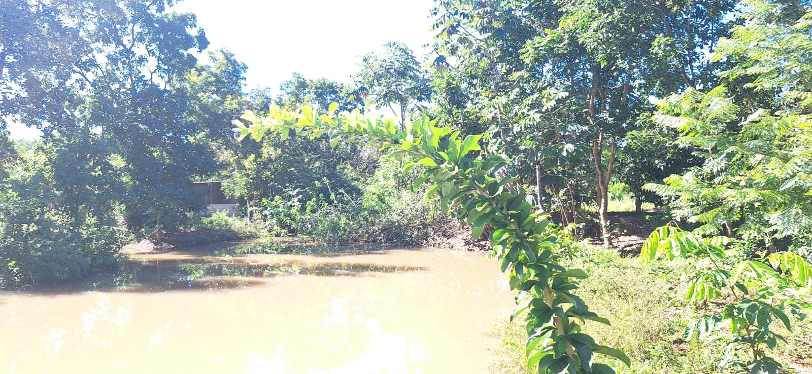 Aconchegante Chácara  à 28km  de Cuiabá -  MT